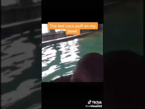 Random stuff saved into me phone