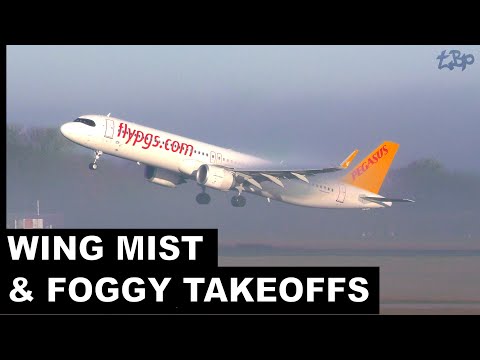 FOGGY Takeoffs & Wing Mist! 🌫️ London Stansted (STN) Ryanair MAX 8-200, Pegasus, Ajet & EasyJet