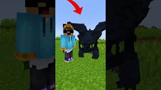 AHORA PUEDES DOMESTICAR A UN DRAGÓN EN MINECRAFT #minecraft #shorts