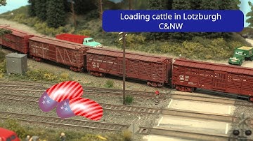 Loading cattle in Lotzburgh - C&NW