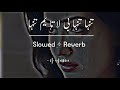 Pashto Song || Tanha Tanha || Slowed +Reverb || Sad Lofi Song || #pashtosong