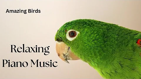 Relaxing Piano Music for Study, Work, Yoga or Sleep, Romantic music for cozy night and stress relief