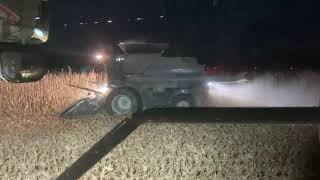 A Day Harvesting Down Corn 🌽