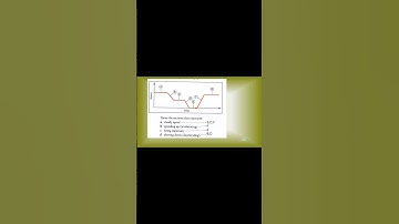 IGCSE Physics Speed-Time Graph