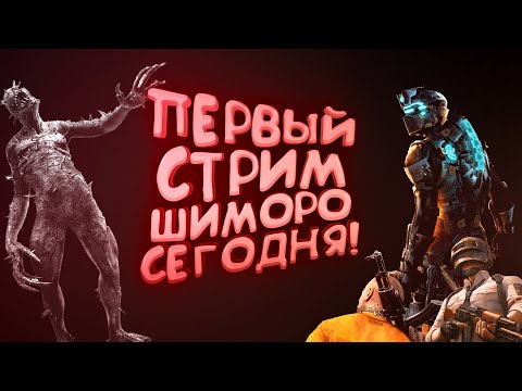 Видео: ПЕРВЫЙ СТРИМ ШИМОРО СЕГОДНЯ!