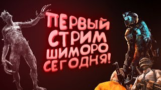 картинка: ПЕРВЫЙ СТРИМ ШИМОРО СЕГОДНЯ!