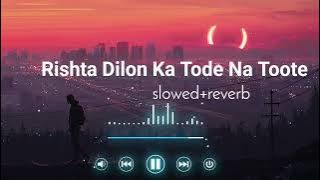 Rishta Dilon Ka Tode Na Toote 💔 - Sunidhi Chauhan | Anu Malik | Best Hindi Song/lofi songs /#lofi