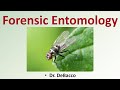 Insects as Forensic Tools in Crime Scene Investigation