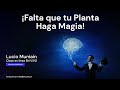 ¡Falta que tu Planta Haga Magia! | Arq. Lucio Muniain | Arquitectura Avanzada