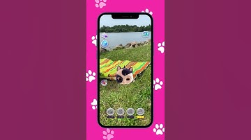 😺 OMG! Kitty Takes Over the Park in EPIC Game Adventure! #cat #catgames #pet #catvideos #funnycats