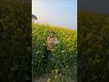 You Are A Deceiver Shortsviral Shortvideo Short 