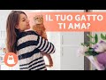 10 SEGNALI che il tuo GATTO ti AMA 🐱❤️