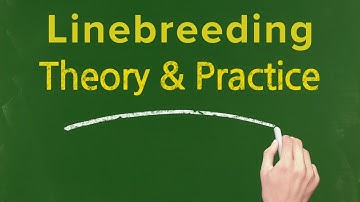 The Theory and Pratice of Linebreeding Poultry