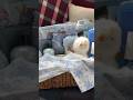 Christmas burr basket❄️✨☃️#Christmas#Gifts#GiftIdeas#BurrBasket#GiftBasket#HolidaySeason#asmr
