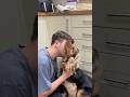 Brushing Rex every day, tips and tricks