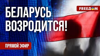 ⚡️ Стратегия национального ВОЗРОЖДЕНИЯ Беларуси: план ОППОЗИЦИИ. Канал FREEДОМ