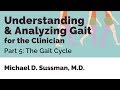 Understanding & Analyzing Gait For The Clinician:  Part 05 [The Gait Cycle]