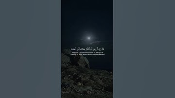 اكتب شيء تؤجر عليه 😴🩶 قران كريم | ياسر الدوسري