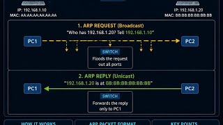 ARP Request & ARP Reply Explained 🔥 | How Devices Find MAC Address | CCNA Telugu