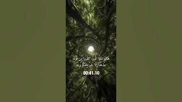 تلاوة خاشعة للقارئ ياسر الدوسري ارح سمعك#قرآن #راحة_نفسية #المصحف