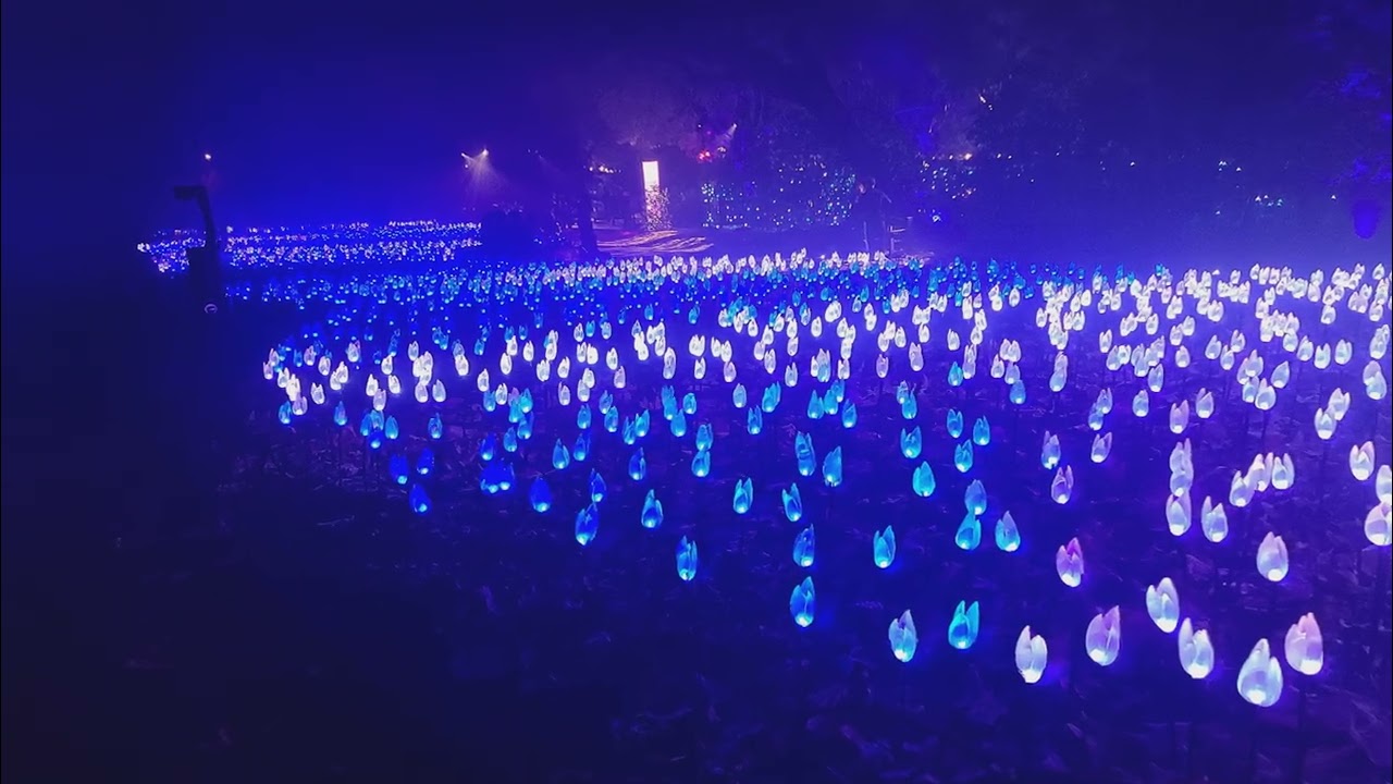 Apple ml-sharp with Descanso Gardens, Winter 2025 20251220 212539