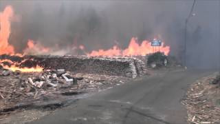 Incêndios na Madeira Vídeo 1