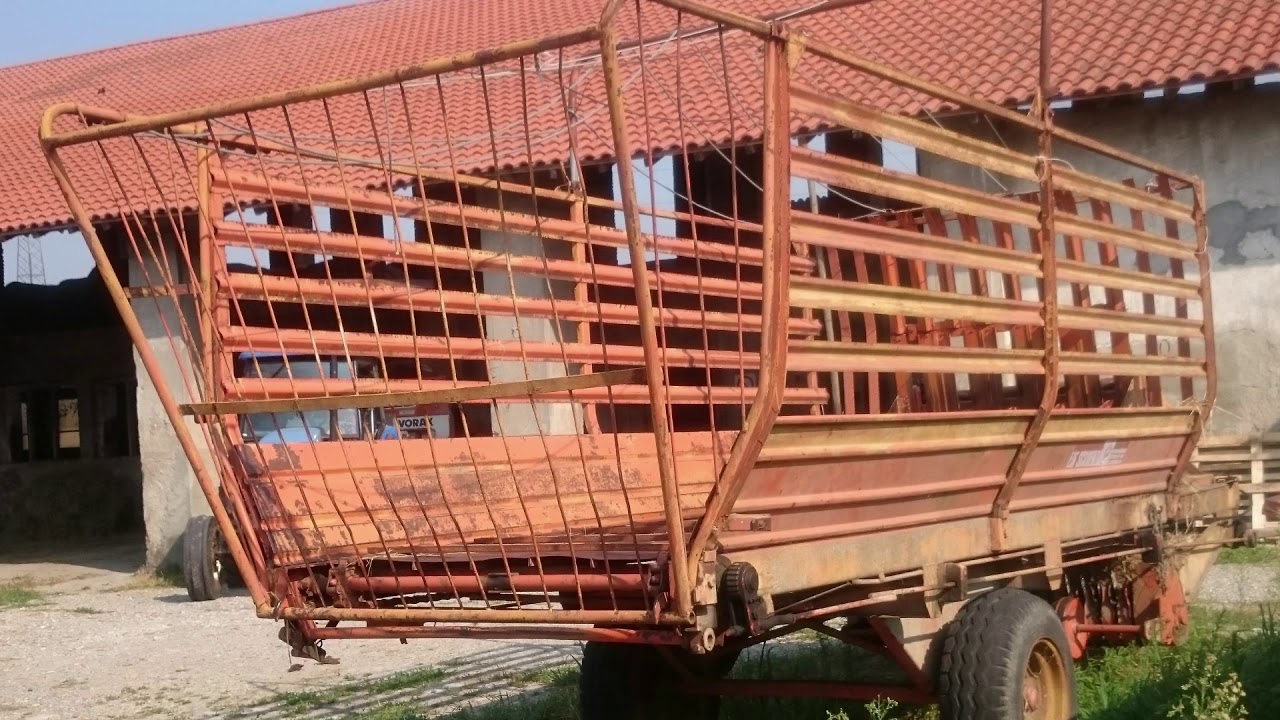 CAMPAGNA RISAIE MILANO LUGLIO 2018 -vincenzino coniglio