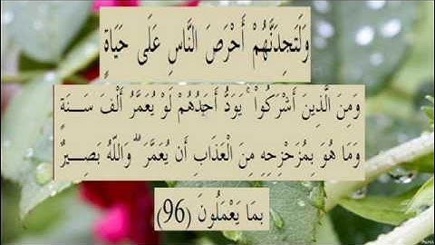 القران الكريم سورة البقرة الاية 96