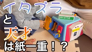 イタズラ好きは必見！イタズラし放題のおもちゃで遊んでみたよ！