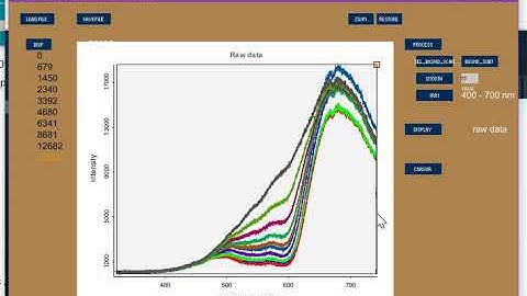 Software for data analysis of DIY kinetics measurements