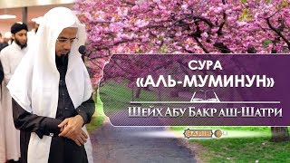 ᴴᴰ Сура «Аль-Муминун» (аяты 93-118) | Шейх Абубакр аш-Шатри | www.garib.ru