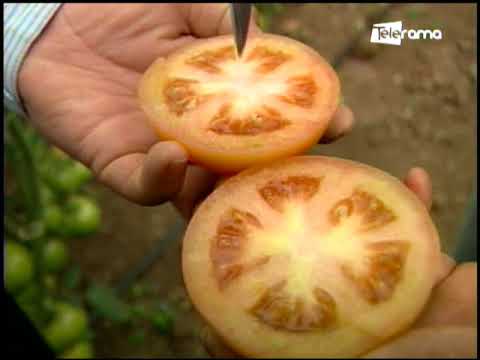 Ecuador Agropecuario 05-09-2018