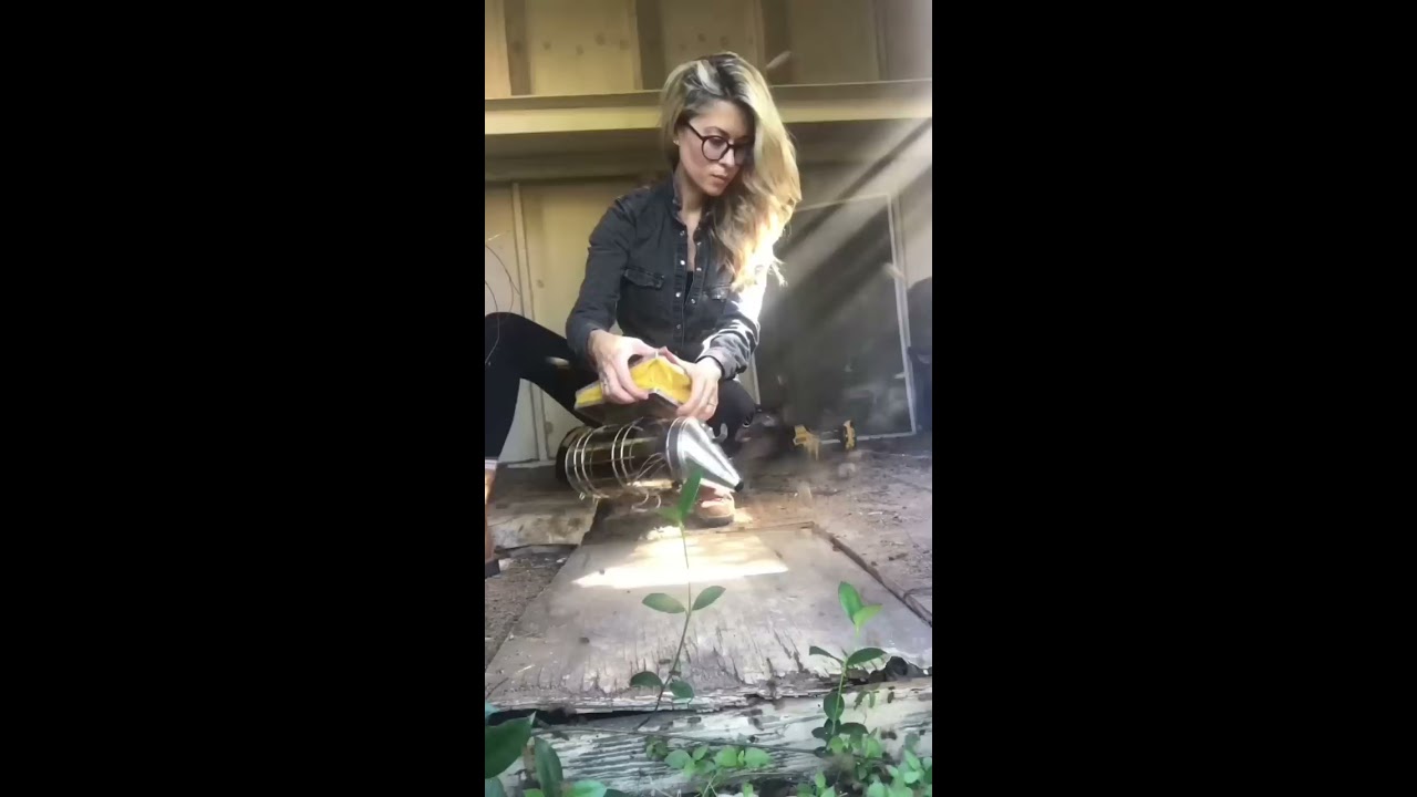 The Bee Removal Video That Went Viral On TikTok