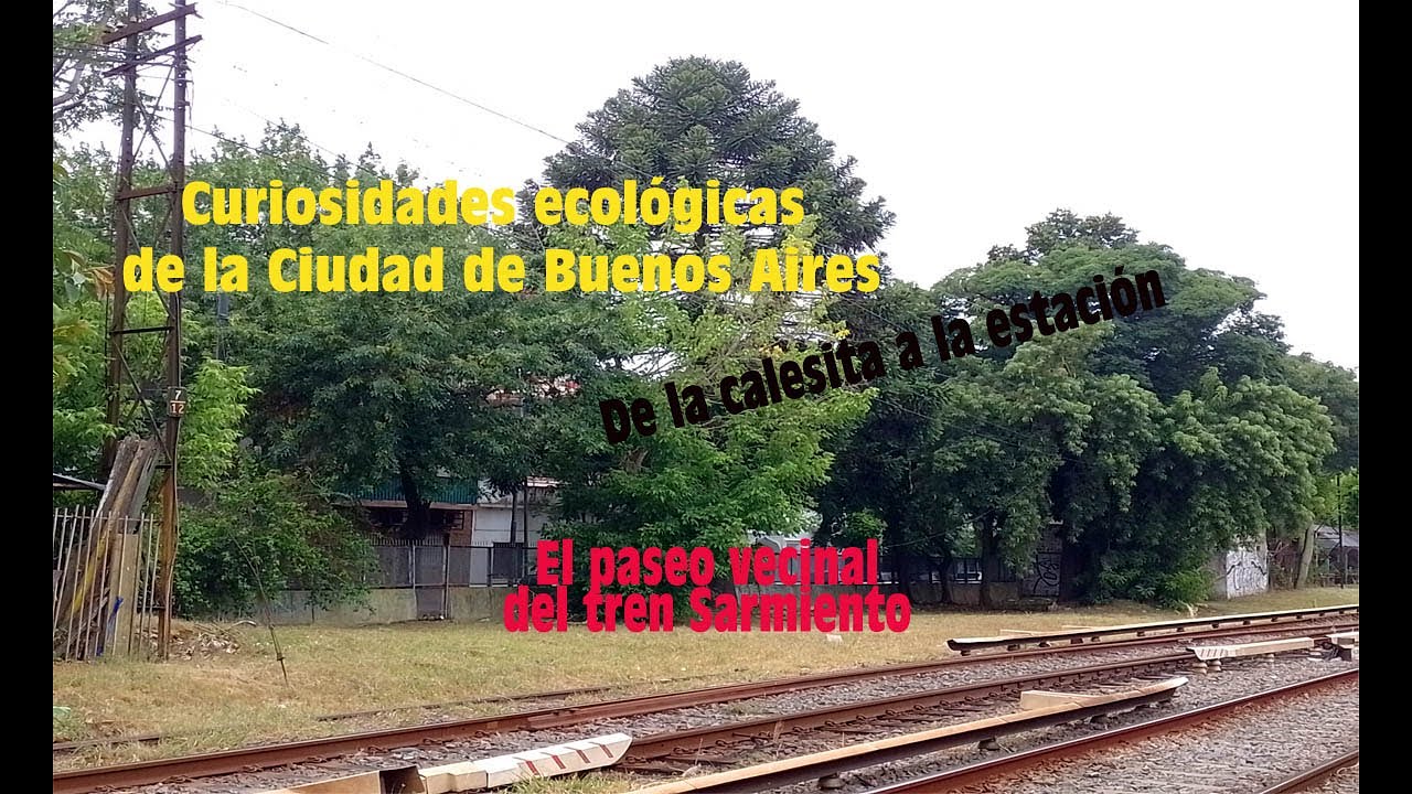 Paseo vecinal de Venancio Flores_desde la calesita hasta la estación Floresta