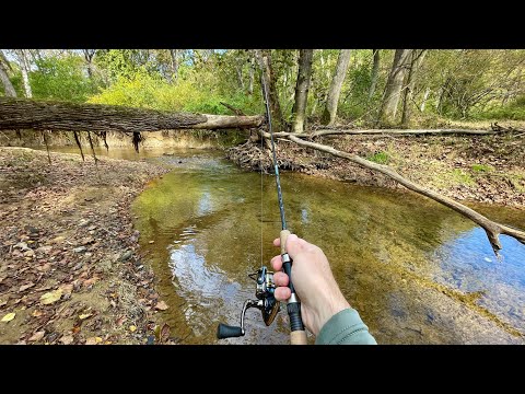 TINY Creek Ultralight TROUT Fishing 