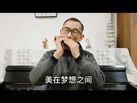 老郭吹口琴《今夜无眠》，国光国之梦演奏级A调口琴吹奏