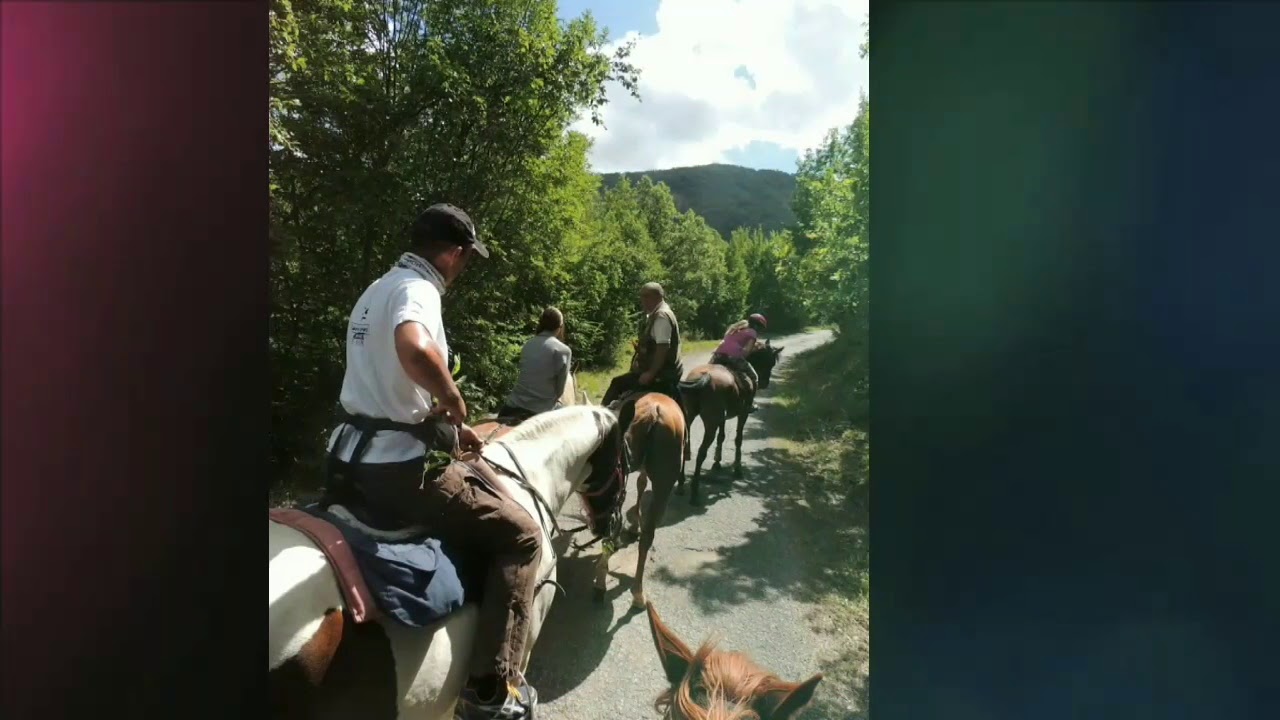 Escursioni a cavallo