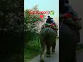 #farming #movie #love #song #animatedmovie #automobile #bhojpuri #cartoon #music #elephant #dag #cat