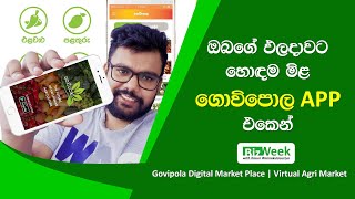 අස්වැන්න වැඩි මිලට දෙන්න පුළුවන් ඉක්මනින්ම | Digital Market Place for Agriculture in Sri Lanka