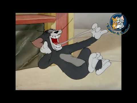 سقف رامي جمال