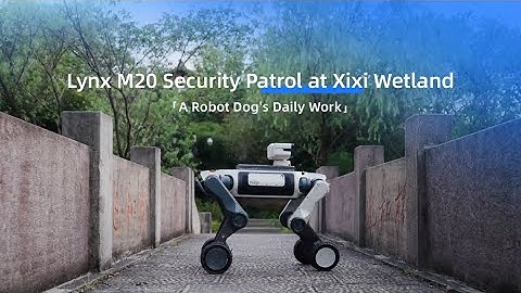 Daily Operations of Robotic Dogs | Lynx M20 Security Patrol at Xixi Wetland