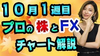 FXドル円と日経平均のチャート分析が、毎週当たってます！【ロスカットの正しい置き方】サウジアラビアと原油価格の影響