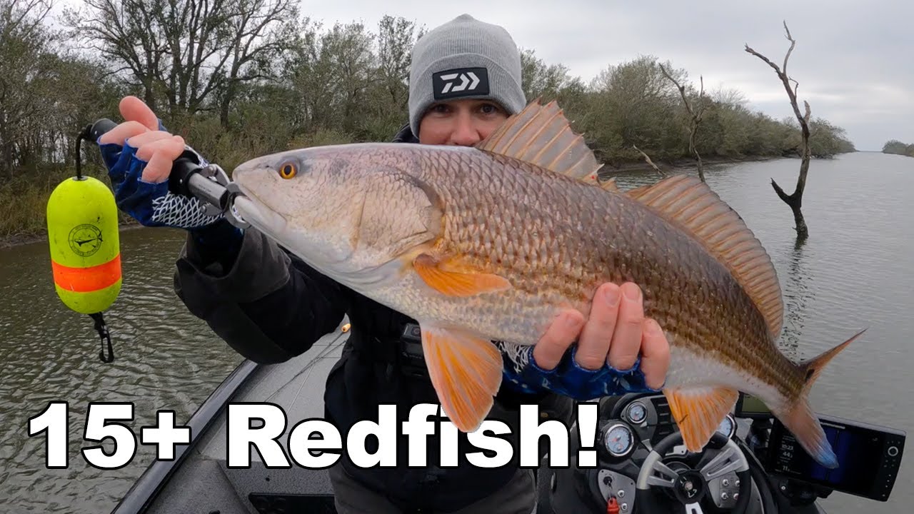 Found My Own Redfish Jubilee and WHACKED 'em!