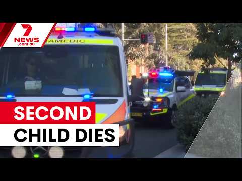 Second child dies after Blue Mountains stabbing | 7NEWS