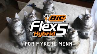 BIC FLEX5 Hybrid. BARBERHØVEL FOR MYKERE MENN