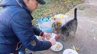 видео: Она Отошла От Котят Поесть К Нам! картинка: Она Отошла От Котят Поесть К Нам!