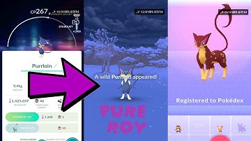 Pokemon Go Shiny Purrloin Wild Snow Catch & Liepard Evolution