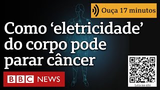 O que é electroma, rede do corpo humano recém-descoberta que pode revolucionar tratamento do câncer