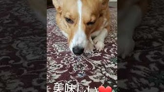 幸せの時間 Youtube 幸せの時間 Youtube