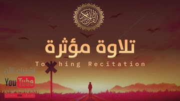 تلاوة مؤثرة تلامس القلوب ❤️ -  القارئ زياد حامد